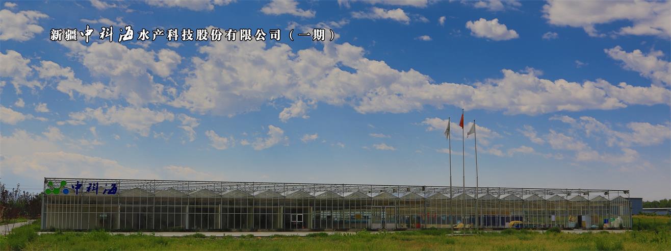 蟹公寓---室内立体养蟹开创者！