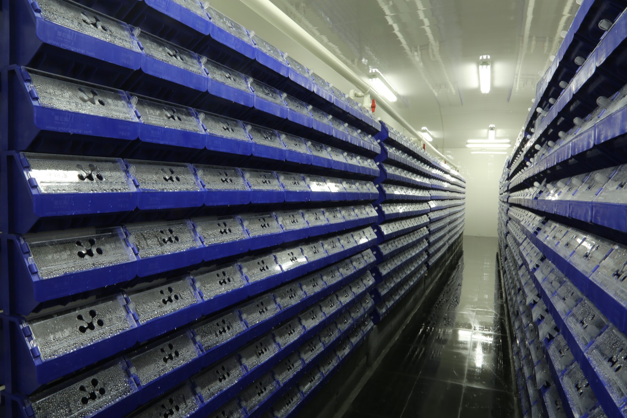 蟹公寓---室内立体养蟹开创者！