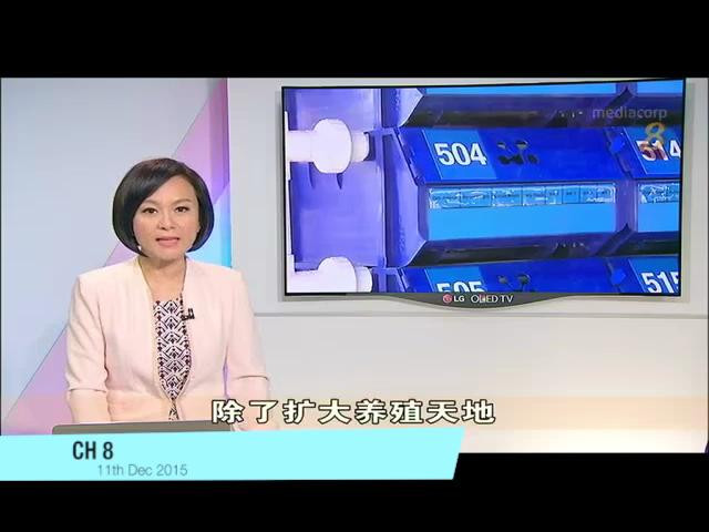 图片关键词