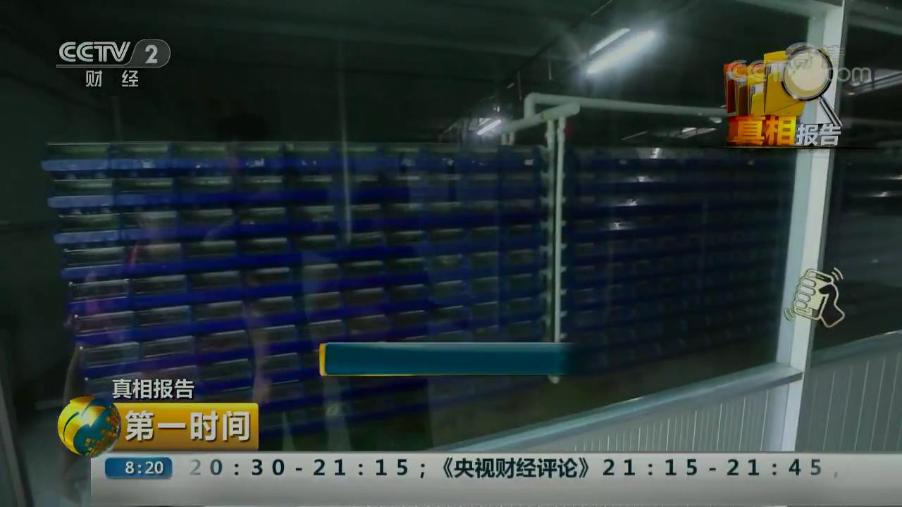 蟹公寓---室内立体养蟹开创者！