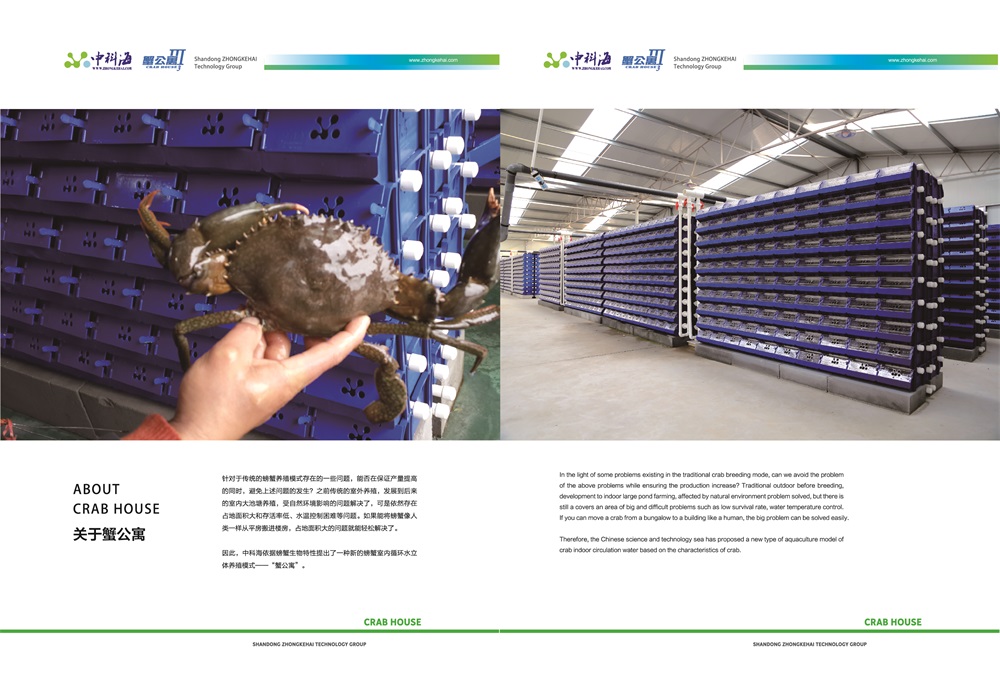 蟹公寓 14周年！---室内立体养蟹开创者！