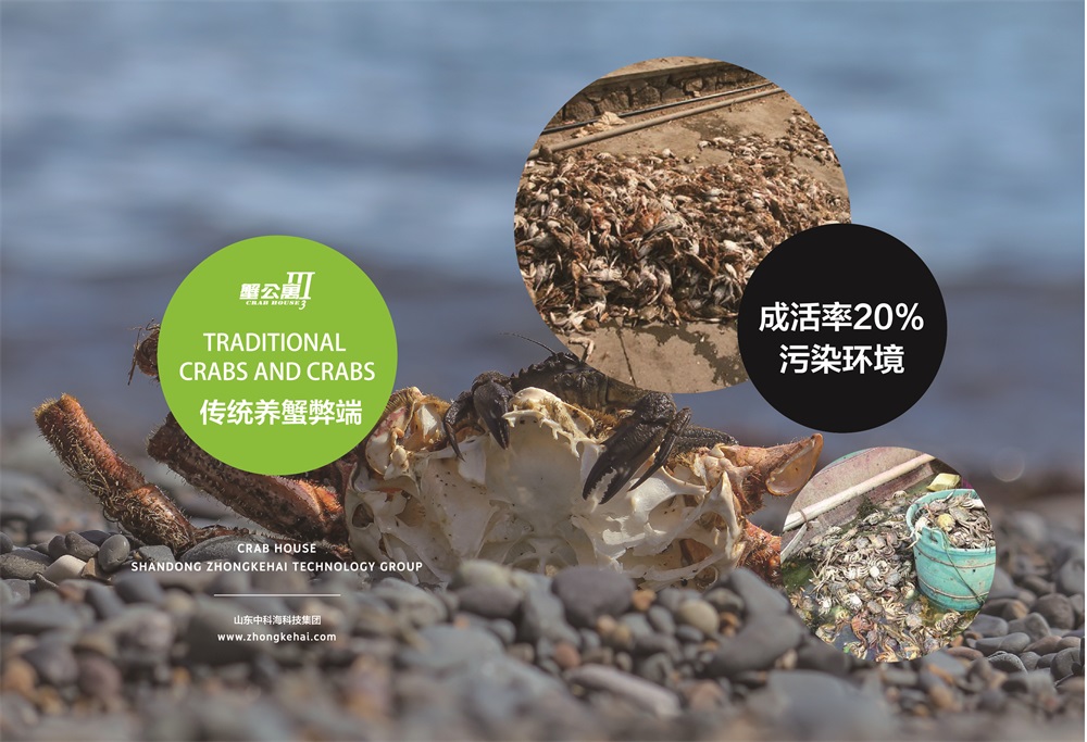 蟹公寓 14周年！---室内立体养蟹开创者！