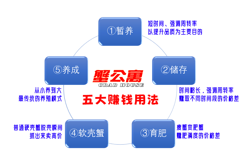 蟹公寓 14周年！---室内立体养蟹开创者！