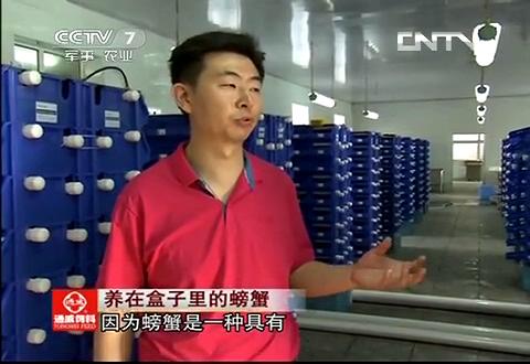 蟹公寓 14周年！---室内立体养蟹开创者！