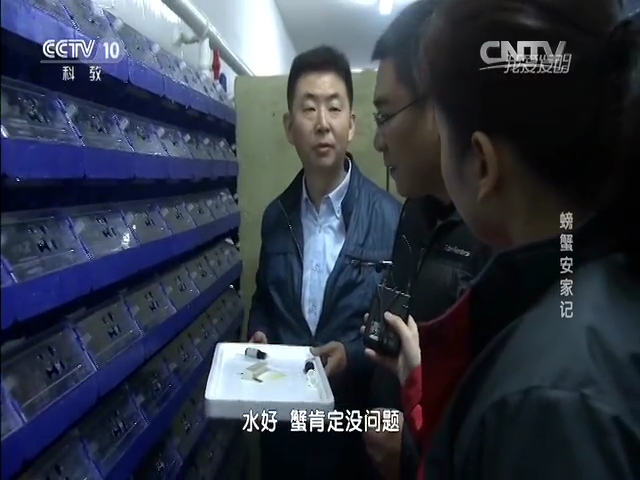 蟹公寓 14周年！---室内立体养蟹开创者！