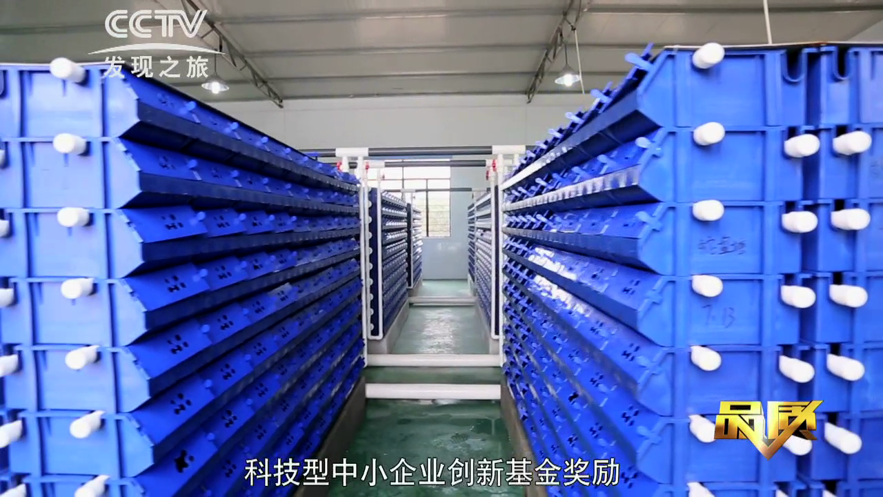 蟹公寓 14周年！---室内立体养蟹开创者！