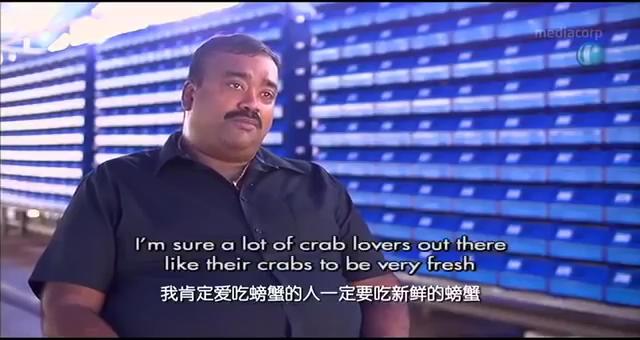 蟹公寓 14周年！---室内立体养蟹开创者！