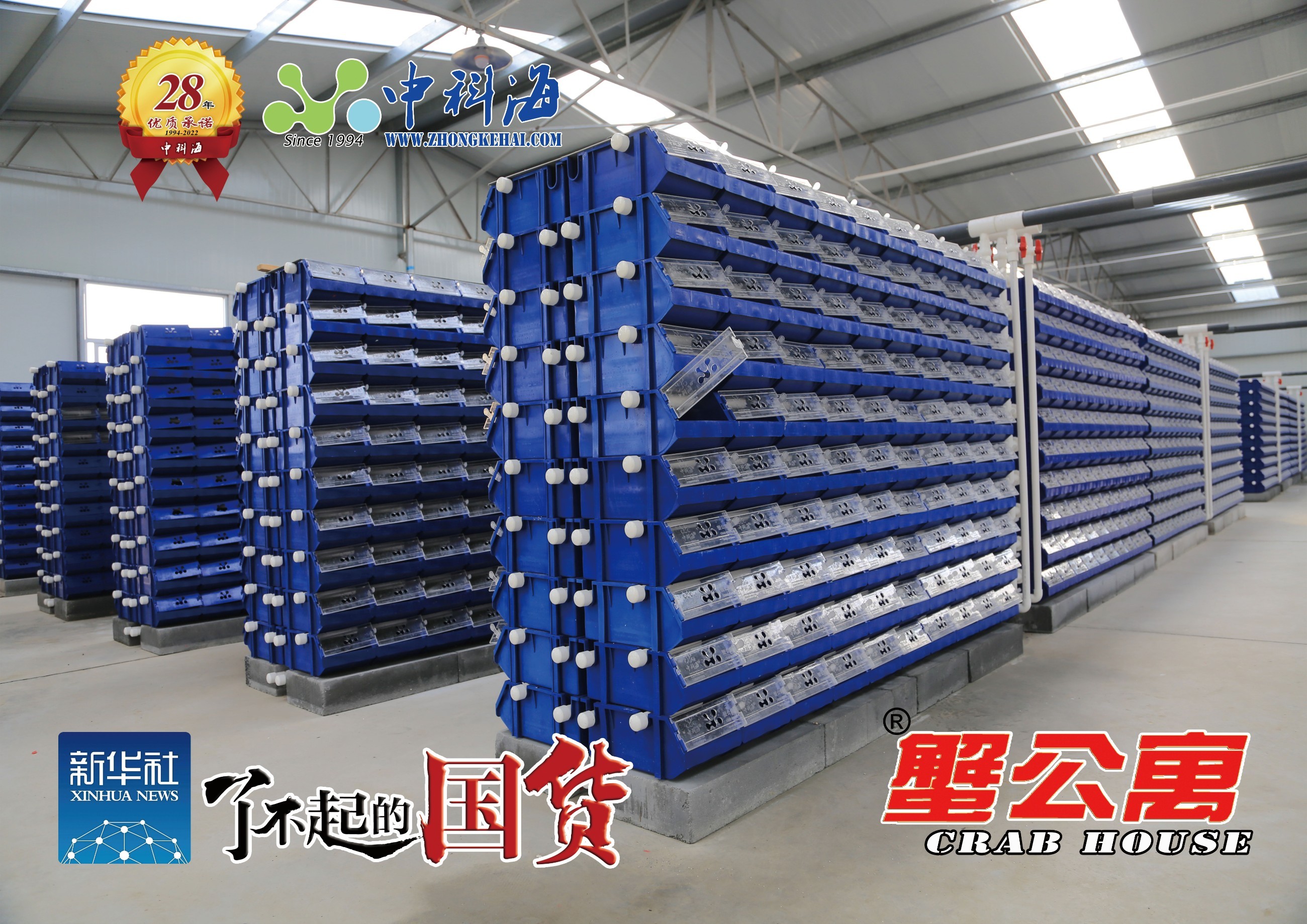 蟹公寓 14周年！---室内立体养蟹开创者！