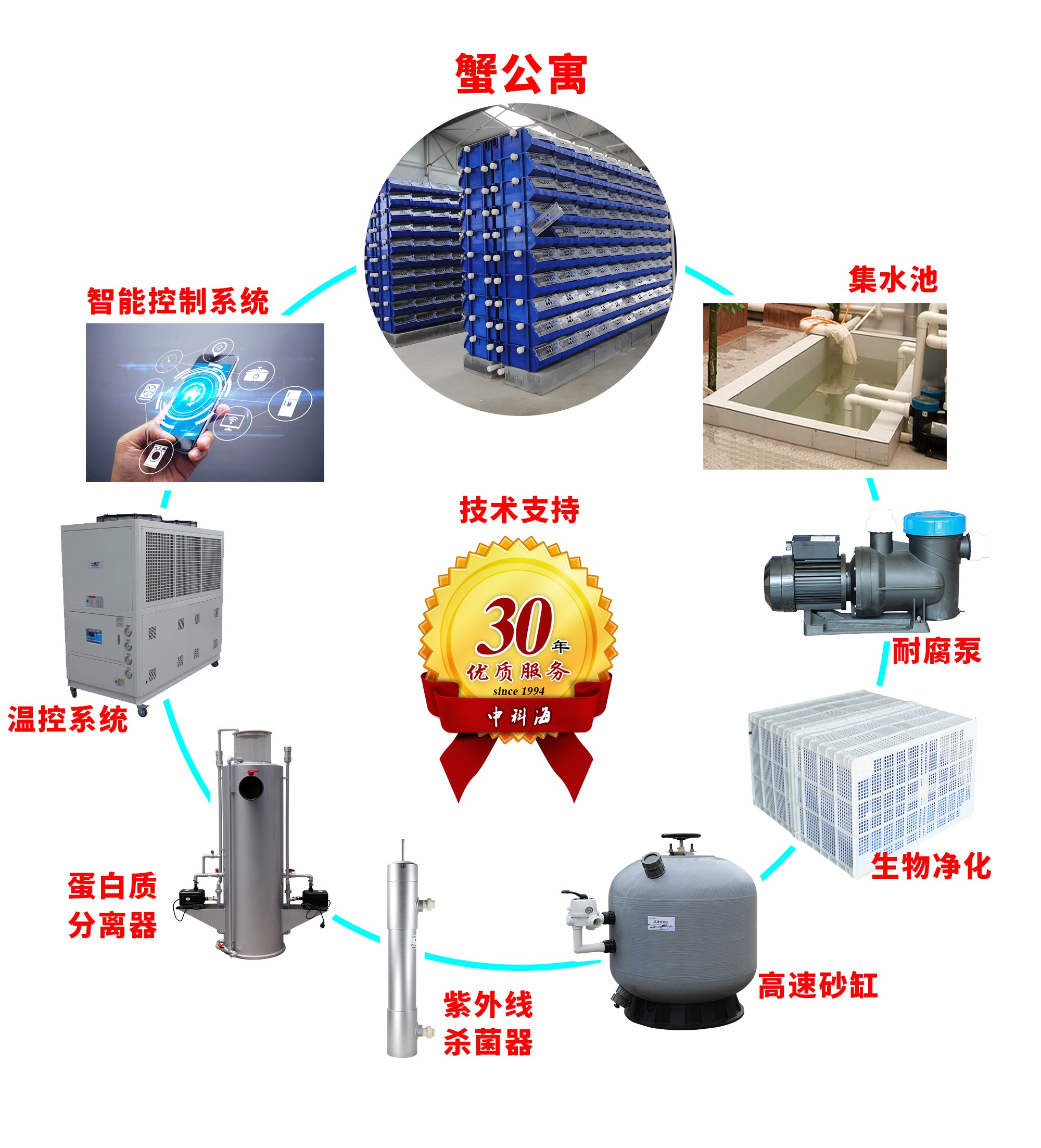蟹公寓 14周年！---室内立体养蟹开创者！