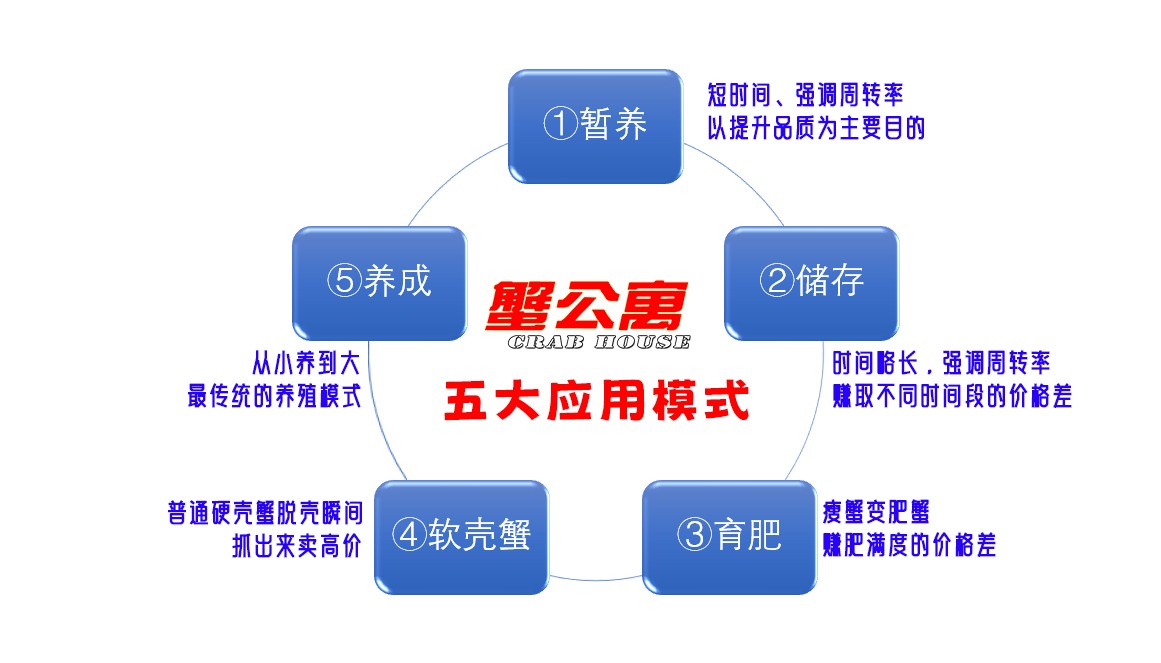 蟹公寓 14周年！---室内立体养蟹开创者！