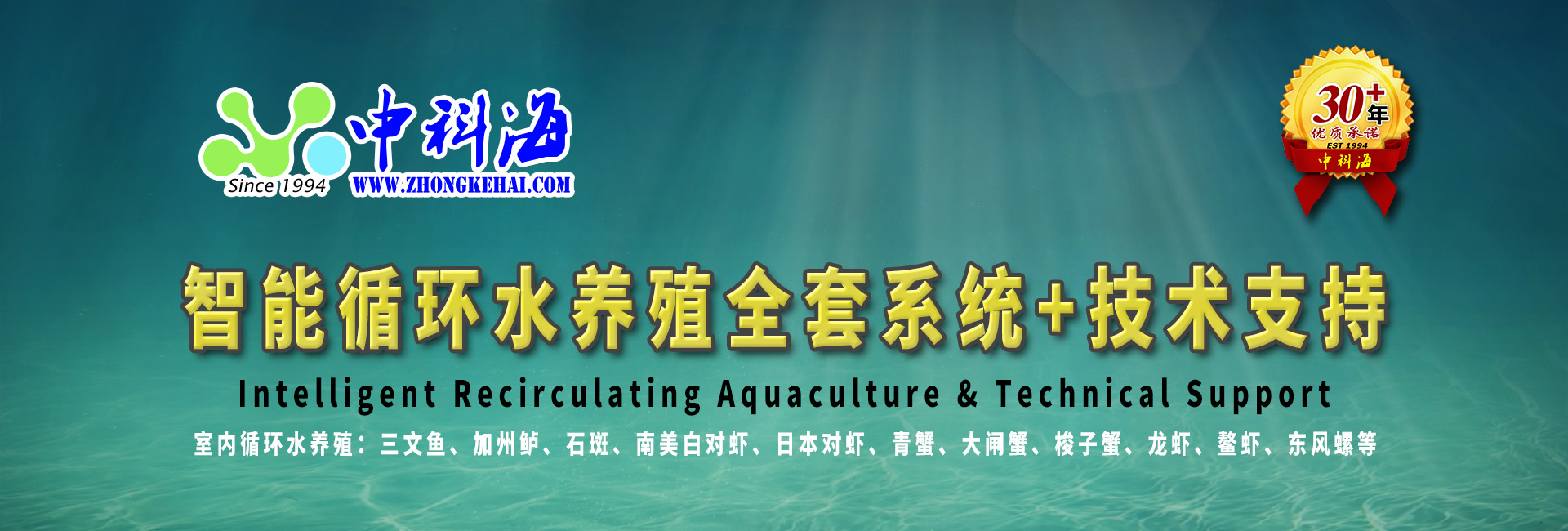 蟹公寓 14周年！---室内立体养蟹开创者！