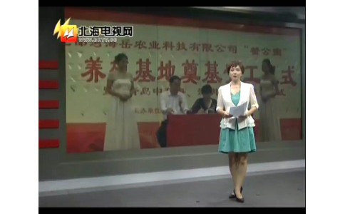 北海电视台-新闻动车 中科海董事长出席北海海岳公司 蟹公寓养殖项目奠基仪式