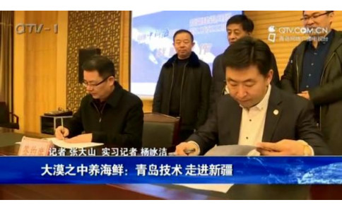 青岛电视台-新青岛-中科海投资新疆水产养殖业，沙漠里养出海虾海蟹