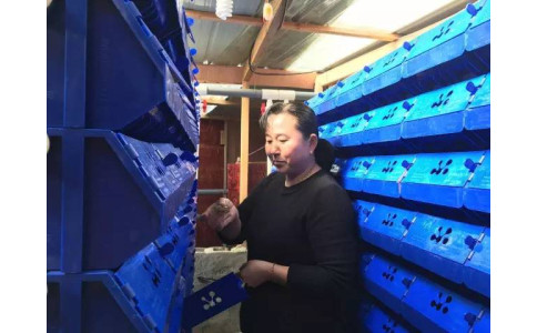 浙江洞头客户刘总被《洞头电视台》采访：《渔嫂请螃蟹住“单身公寓”》