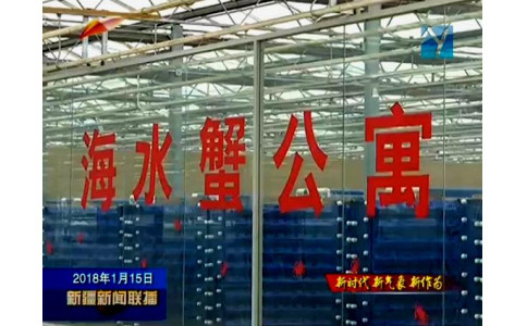 新疆卫视 新闻联播 报道中科海蟹公寓-20180115