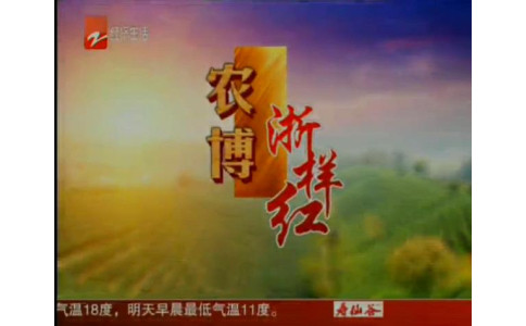 浙江农博会惊现“螃蟹单身公寓”！原来是智慧农业！（浙江电视台经济生活频道--经济新闻20181125）