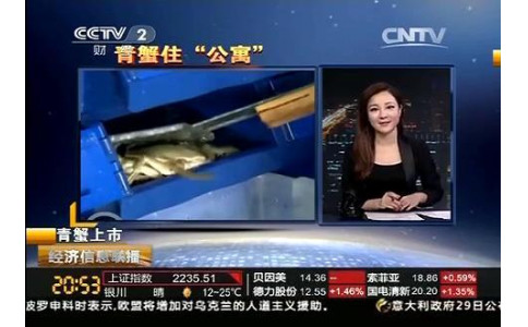 青蟹住“蟹公寓” 线上线下一年卖830万！