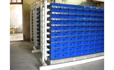 广东 潮州 林总