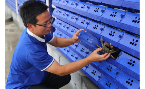 新疆 昌吉回族自治州 阜康市