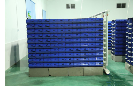 浙江 宁波 宁海陈总一期