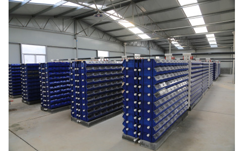 浙江 宁波 宁海陈总二期