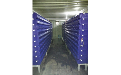 广东 珠海 林总