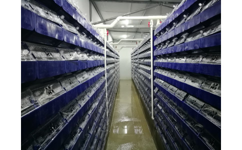 湖北 武汉 兰总