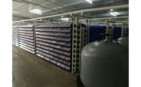 广西 北海 蒋总 一期