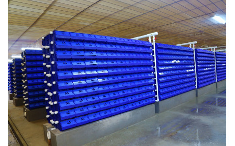 河北 廊坊 客户