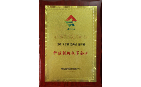 2017蓝海风云榜颁奖