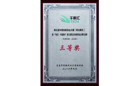 第五届中国创新创业大赛三等奖奖牌