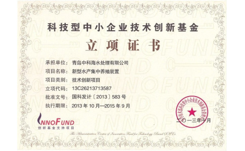 国家科技部 创新基金奖励