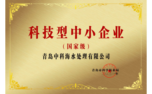 国家级科技型中小企业