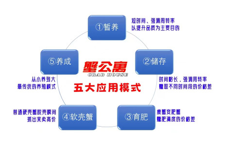 蟹公寓百问百答 第二部分