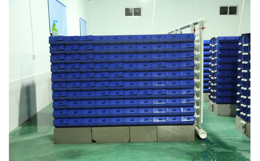 浙江 宁波 宁海陈总一期