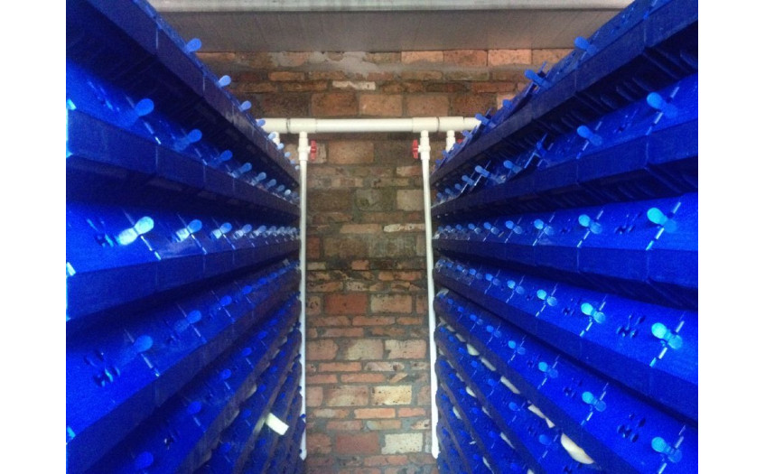 广东 深圳 陈总