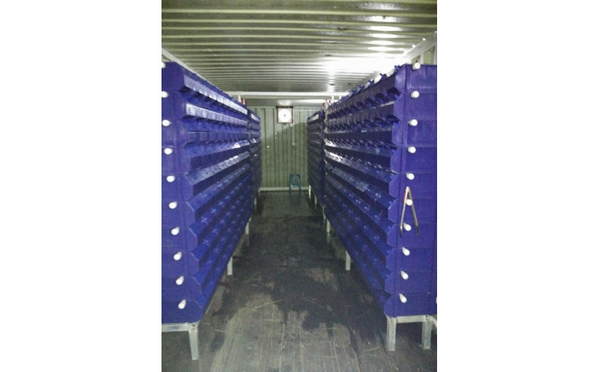 广东 珠海 林总