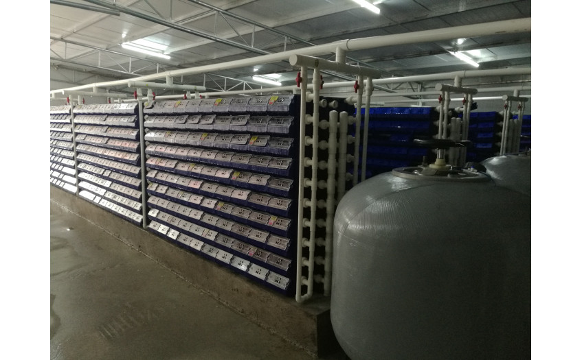 广西 北海 蒋总 一期