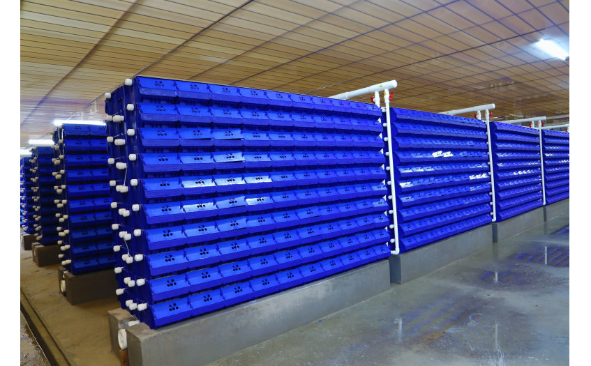 河北 廊坊 客户