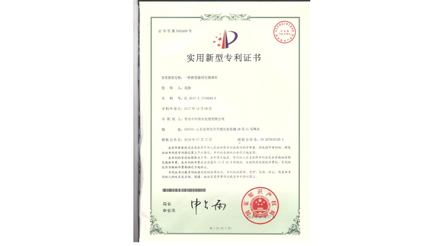 中科海专利 一种新型悬浮填料