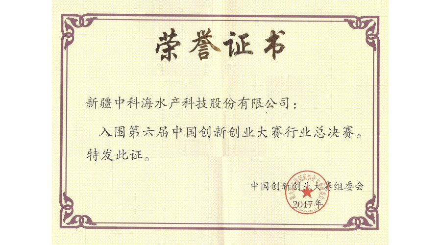 2017中国创新创业大赛 新疆二等奖 入围国赛