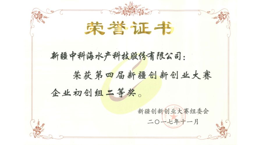 2017中国创新创业大赛 新疆二等奖 入围国赛