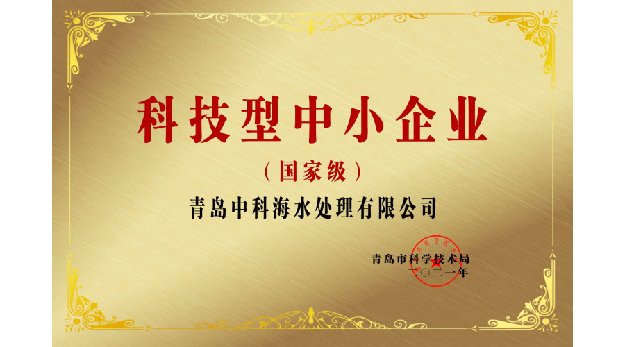 国家级科技型中小企业